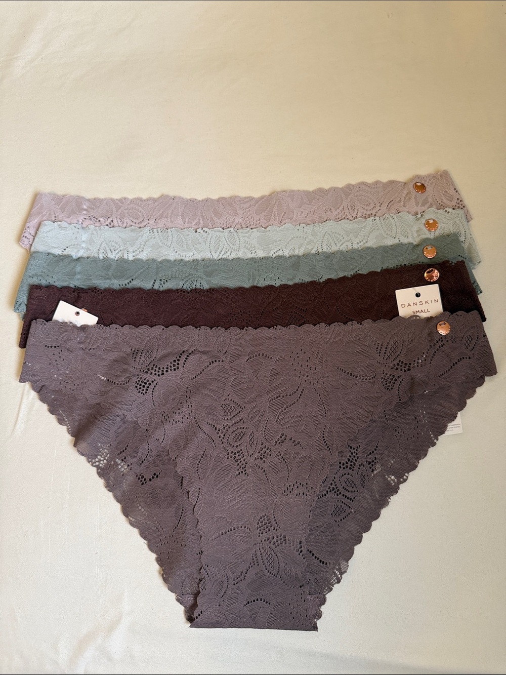 5-set of Danskin Lace Bikini Briefs in Mauve, Mint, Slate, Plum